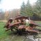 automne champignons