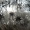 Nature en rando