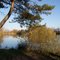 ETANG du ROUPOIX-