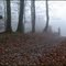 L'Ermitage  in the fog