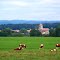 LA CHAPELLE-LÈS-LUXEUIL - PAYSAGE