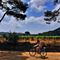 Bicycling in Porquerolles