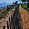 Lalonde-les-Maures/Hyères