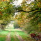 Grugerie : chemin du petit verger