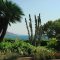 Cote d Azur