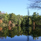 Reflections of Fall