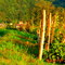 Vaux-en-Bugey