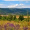 En revenant de Saint Jean...SAULT. VAUCLUSE. FRANCE.(sous les nuages, le mont Ventoux.)