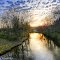 Coldwater River Flowing to the Thornapple