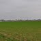 Jonchery sur Suippe-Vue des champs (21/11/2010)
