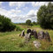 L'hotié de Viviane en Brocéliande