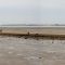 Panorama-acces a l'ile madame-Mai 2009