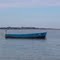 barque solitaire recherche matelot a fouras....
