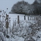 Graffigny, Paysage de Neige