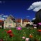 Pesmes Petites fleurs