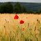 Coquelicots dans un champ de blé à Montmédy! II