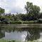 Rivière Le Cher en amont de Selles sur Cher