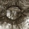Kouri forest - small bridge
