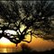 Sunset in the Ionian Sea - Kaifas Beach - Greece - Τι νεκρή... ΟΛΟΖΩΝΤΑΝΗ φύση που αναγεννάται από την τέφρα της - Αφιερωμενη στον kostvil - By Chio.S