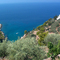 Spetses