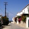 spetses