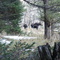 Cow and Calf Moose Hyalite Canyon