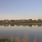 Elk Grove Community looking North 4/26/2005