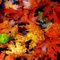 Autumn Canvas