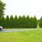 Landscape, Midland, NC (2006)