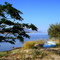 Almost summer! Agia Triada-Pachi. Greece