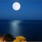 Moonlight  Serenade