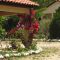 Rhodos, Straußenfarm, Mai 2008