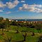 GRE Samos isl. Pythagoreio {country area} from Panagias Spilianis Road Panorama by KWOT
