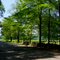 River Road in June