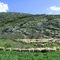 Λίμνη Κάρλα, Άνοιξη 2011