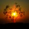 sun heart