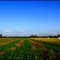 Country.gr