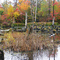 Pond Panorama