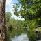 Spring Brook - Caledonia NY