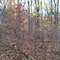 Out Geocaching