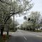 Louisville, S 3rd st -Tenny, Vista de la calle 3ra