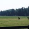 Lexington, Kentucky