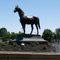 Kentucky Horse Park, GLCT