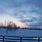 Amaneciendo