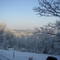 Winter in Bell Acres