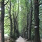 Lonedo: parco di Villa Piovene