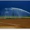Forse pioverà, per sicurezza meglio irrigare. - Maybe it rains soon, for sureness sake it's better to irrigate. (9P - SPC 03/10)
