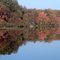 Gregory's Pond in November