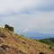 Mt. Shasta in distance