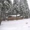 Cabin Winter View
